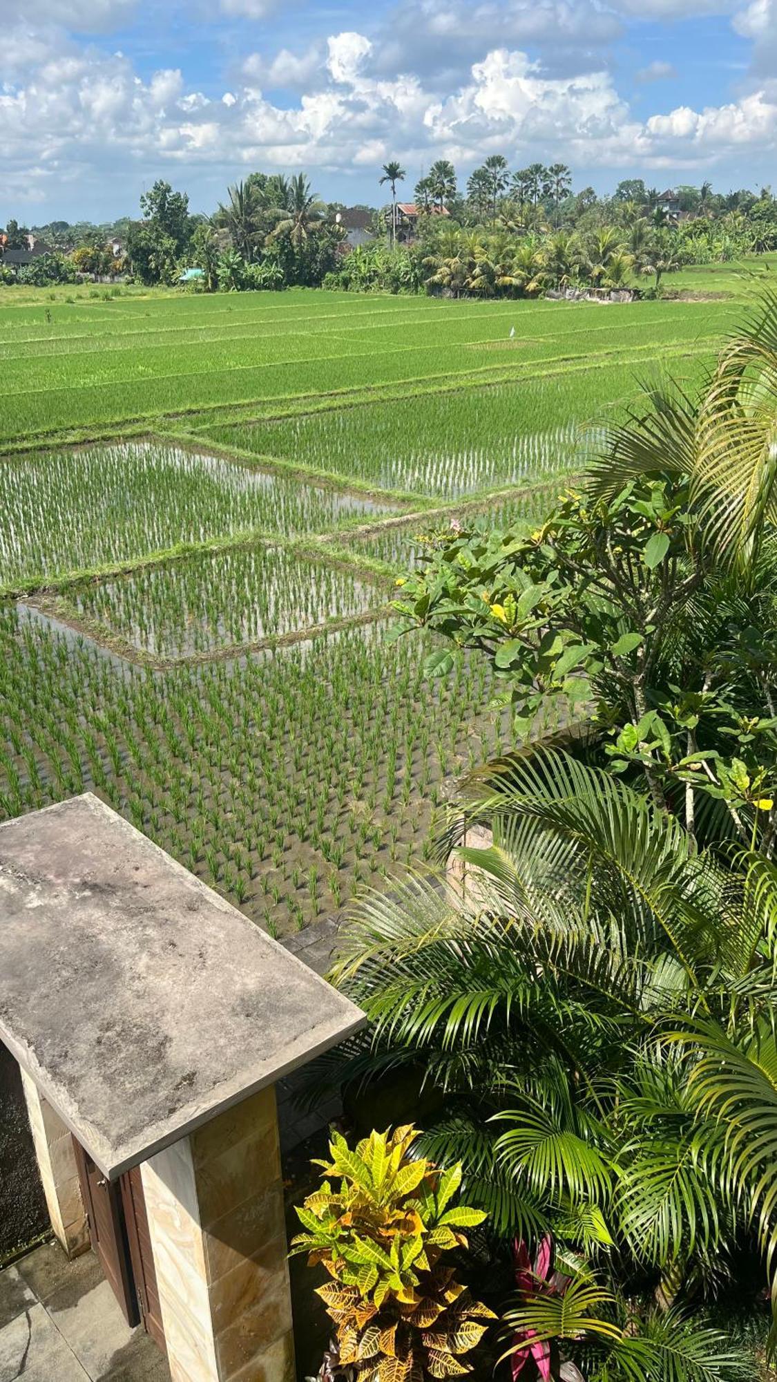 Heaven Villa Ubud Exterior photo